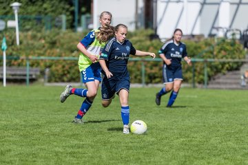 Bild 291 - B-Juniorinnen VfL Pinneberg - HSV : Ergebnis: 1:4